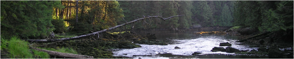 Sarkar Rapids photo on Prince of Wales Island, AK